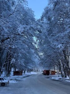 Baku: Guba, Candy Cane, and Shahdag Mountain Resort Trip - Candy Cane Mountains and the color-your-camera moment
