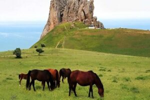 Khizi Candy Mountains, Shahdagh Full Day Guided Tour - Qechresh: the longest forest stop that breaks up the drive