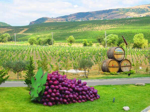 Organic Wine Tour Shamakhi with Local Lunch - Key Points Worth Marking Before You Go