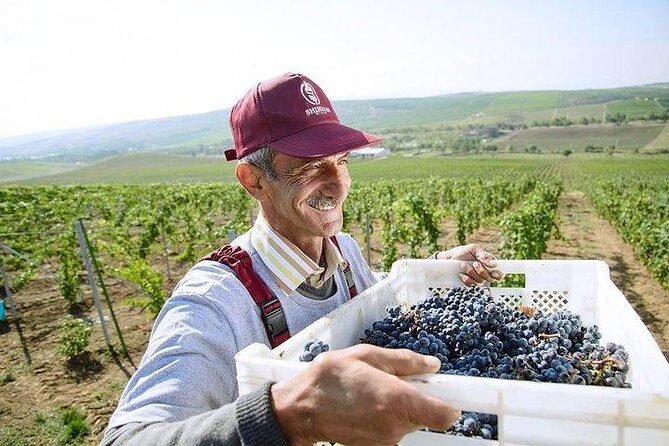 Organic Wine Tour Shamakhi with Local Lunch - Meysari Village Lunch with a Local Family